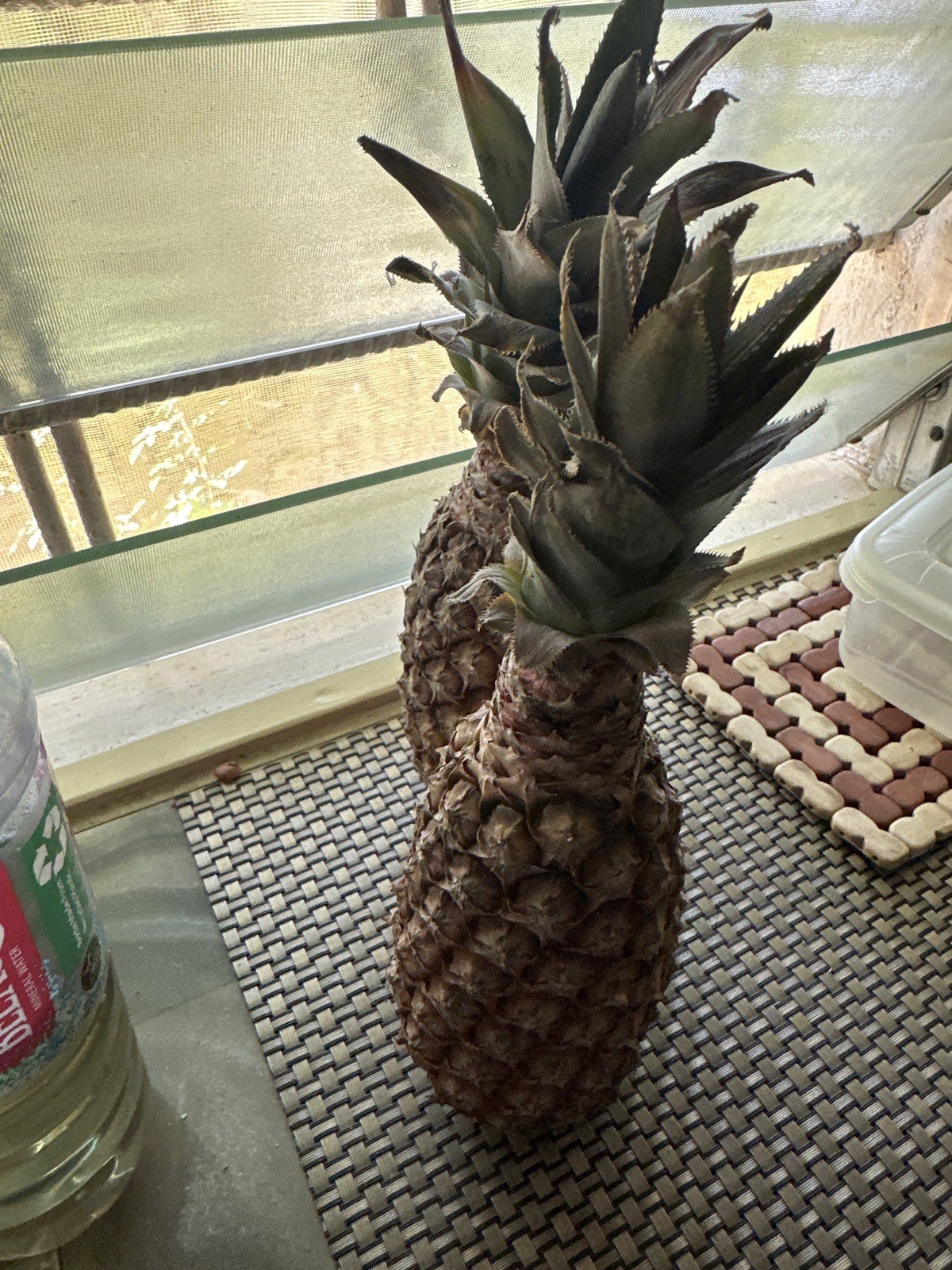 Pineapples