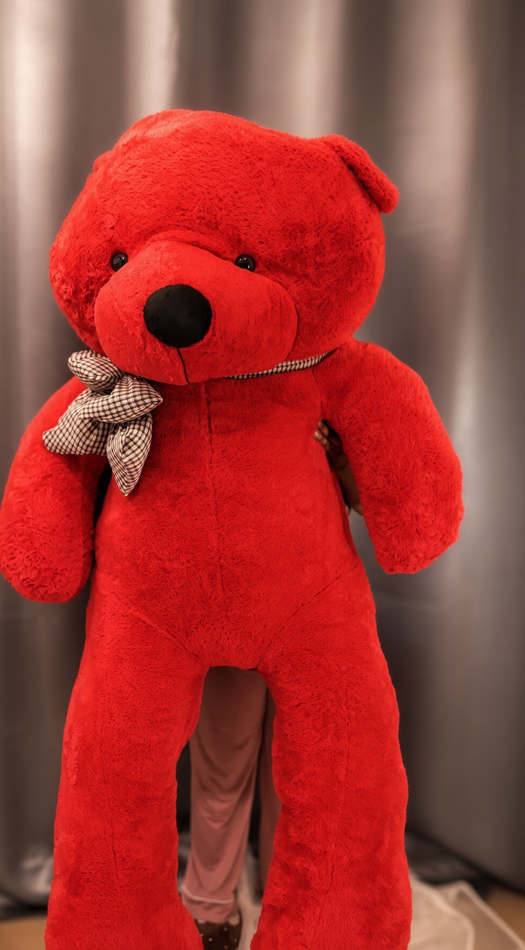Giant red teddy